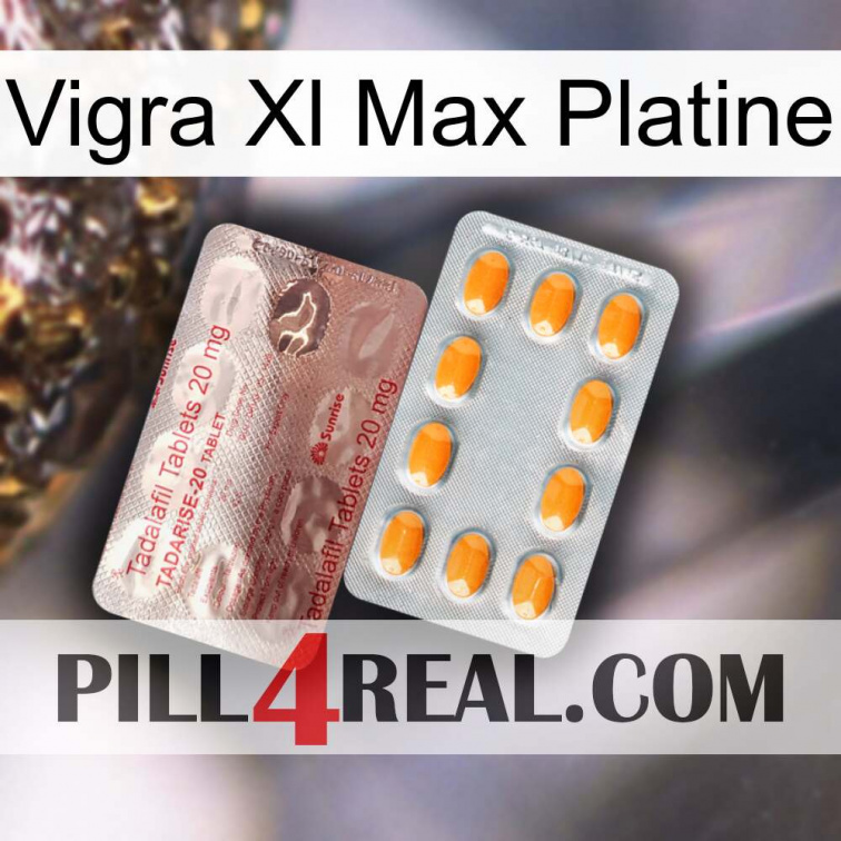 Vigra Xl Max Platinum new13